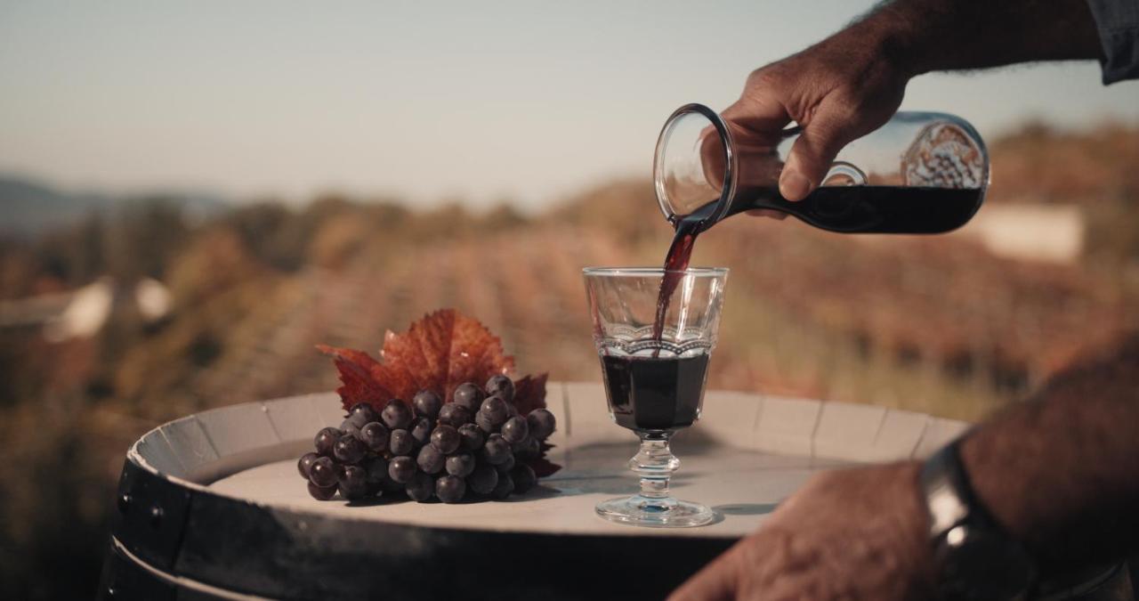 Skerlj Wine Estate Vendégház Tomaj Kültér fotó