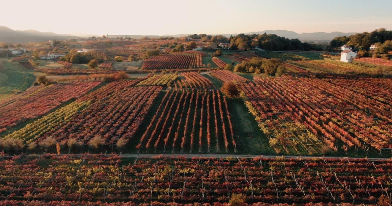 Skerlj Wine Estate Vendégház Tomaj Kültér fotó