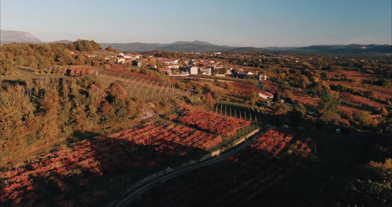 Skerlj Wine Estate Vendégház Tomaj Kültér fotó
