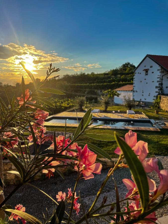 Skerlj Wine Estate Vendégház Tomaj Kültér fotó