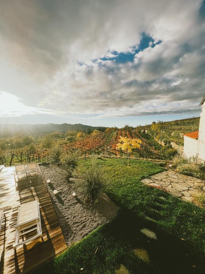 Skerlj Wine Estate Vendégház Tomaj Kültér fotó
